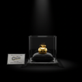 Gleaming gold miniature Shopkins character under museum spotlight on black background in acrylic display case